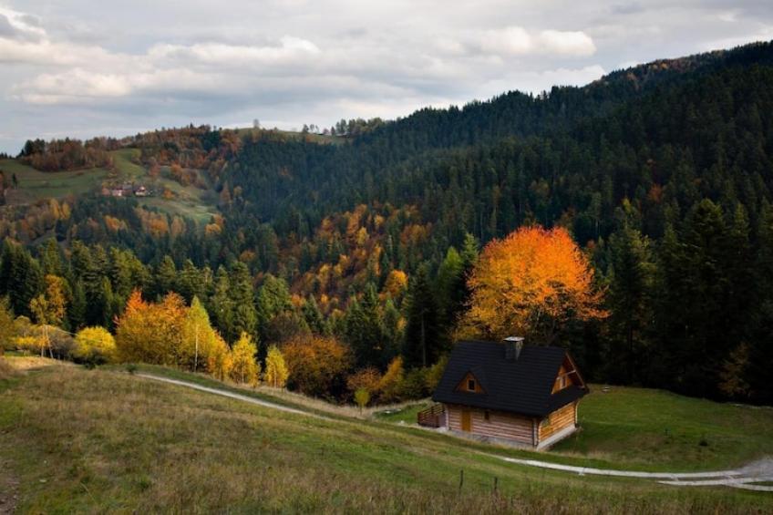 Dom wakacyjny dla 8 osób w Piwnicznej Zdroju - foto 39