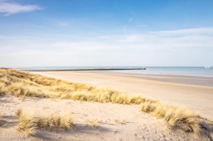 SCORPIO BI - foto 19