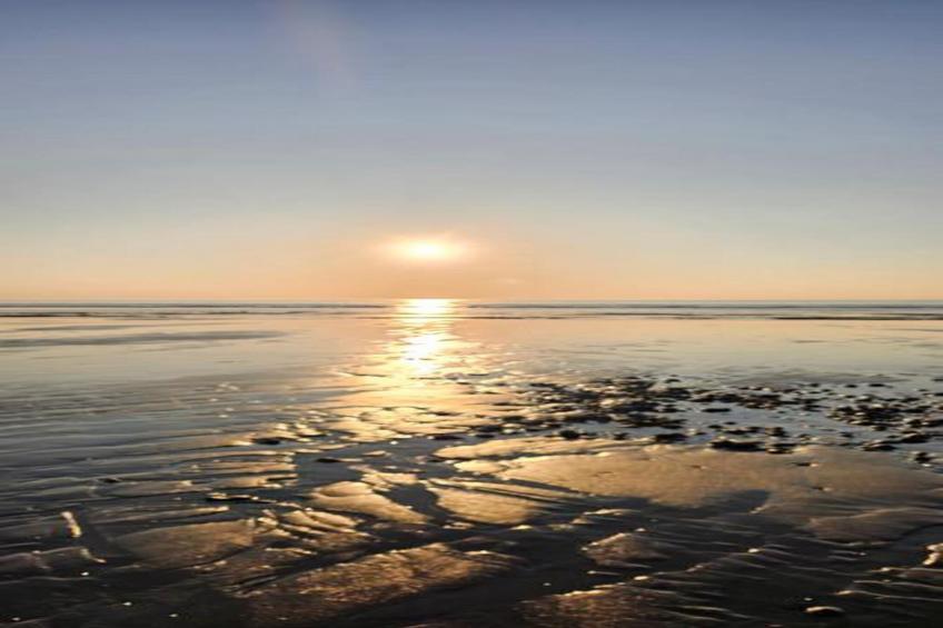 Les Terrasses de la Plage - foto 32