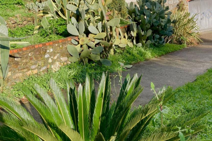 Casa Mediteraneo - foto 2