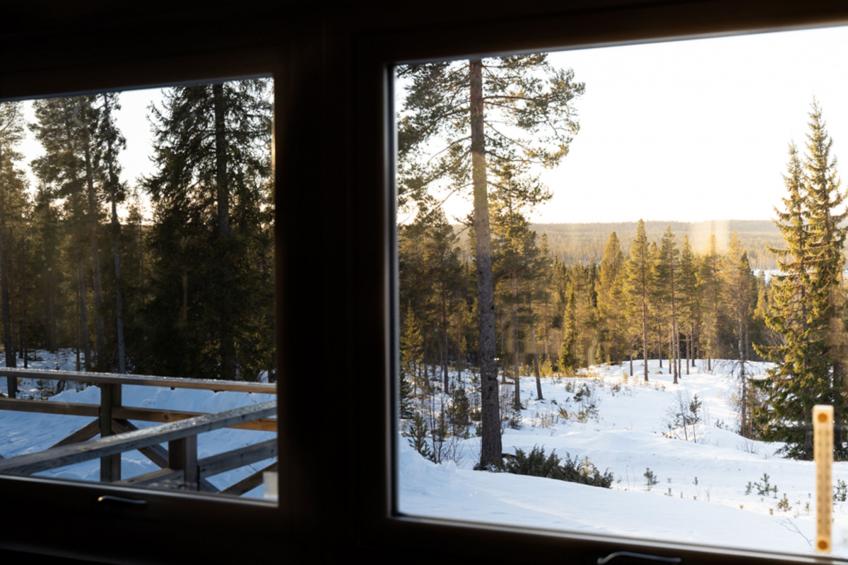 Tännäskröket Vargen 2 - foto 9