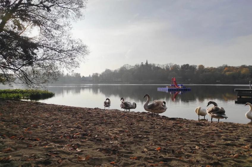 Fewo Päpke - foto 22