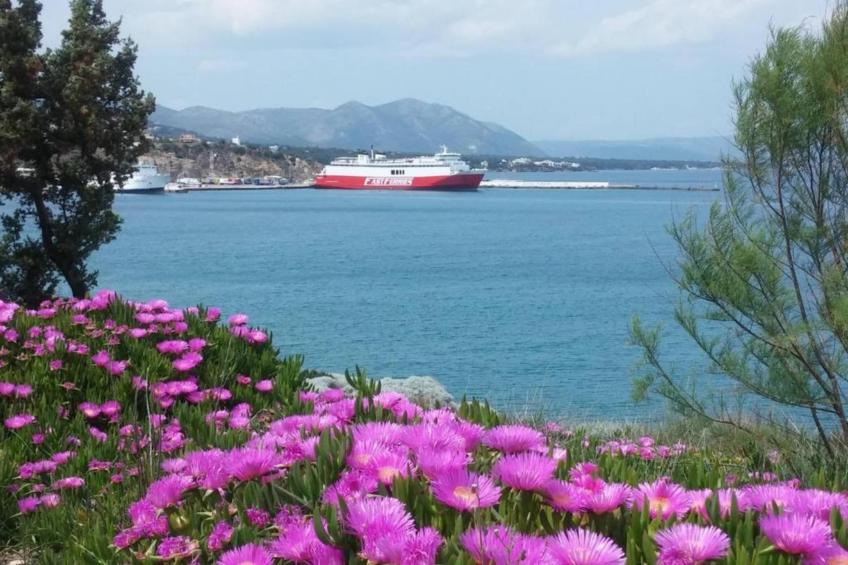 Rafina Port Comfortable - foto 25