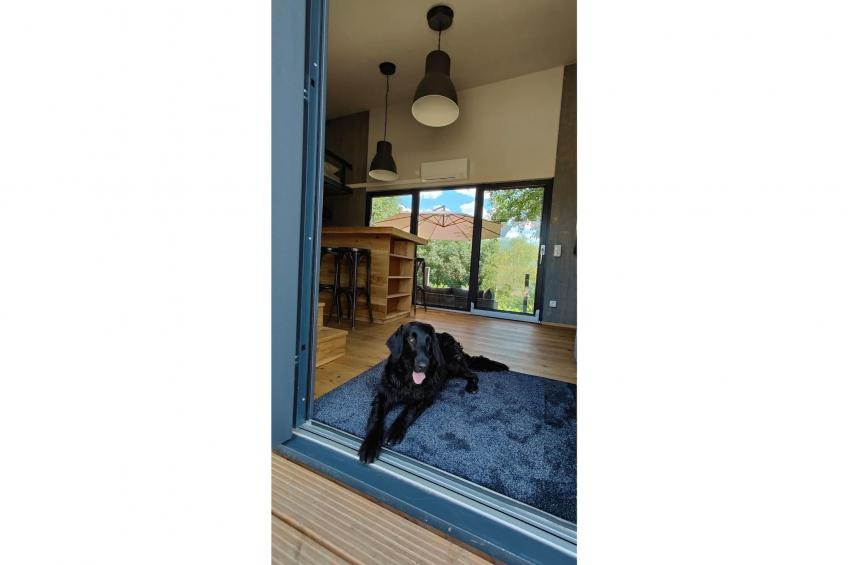 TH3 1P 40€(5) Schulz - foto 8