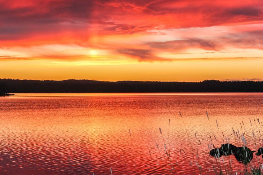 Hamppulahti - foto 17
