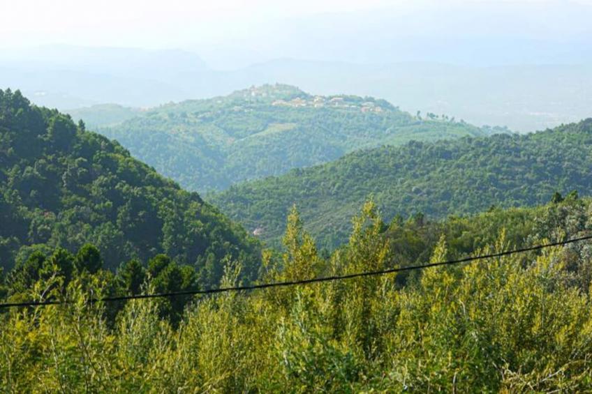 Villa De Campagne - 8 Pers - Vue Sur Les Mimosas - foto 37