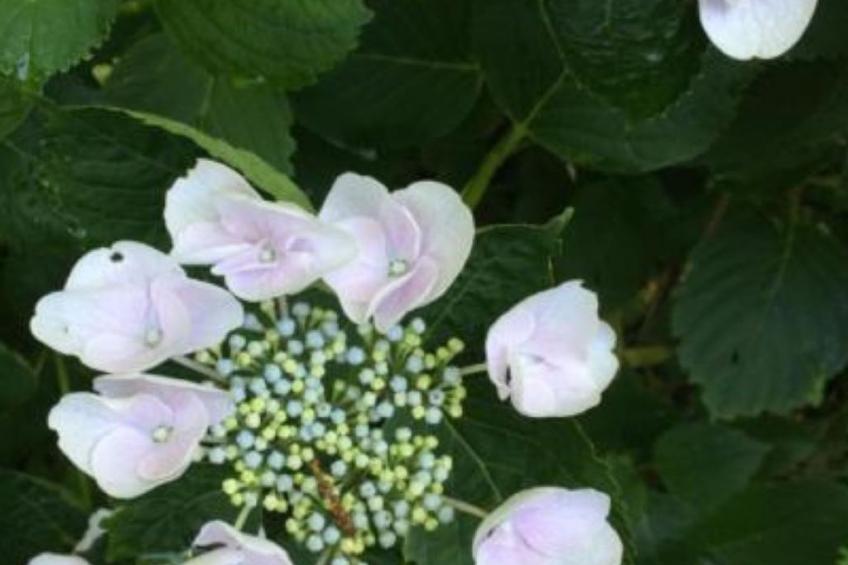 weg von der Zuvielisation - foto 11