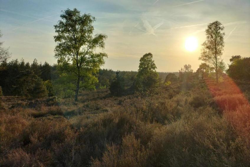 Park Haarle - foto 22