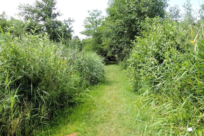 Pod świerkami pokój nr 3 dla 2 osób - foto 14