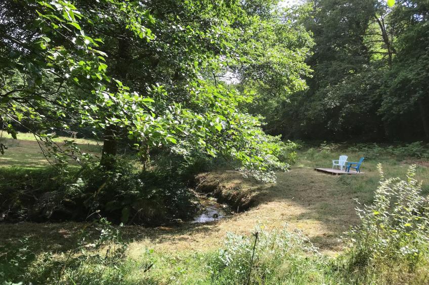 The Grange - foto 27