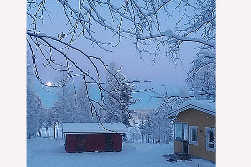 Huitsin nevada - foto 18