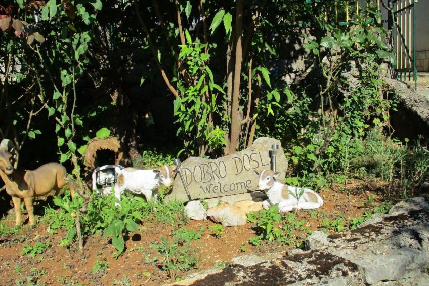 mit Balkon und Terrasse - foto 26