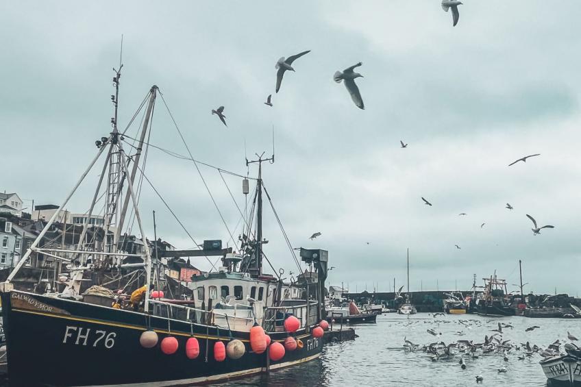 Tregony House 2 Bedrooms - foto 41