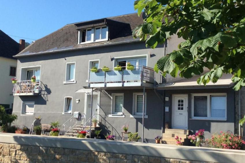 Einzigartige Lage direkt Mosel und Radweg. - foto 2