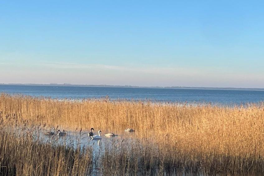 Haus Saaler Bodden - foto 44