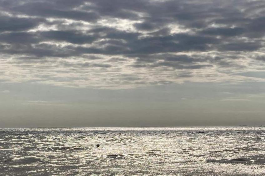 Appart'hôtel Archipel - foto 22