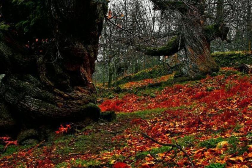 Ideales Refugium in Extremadura Komfort und Natur - foto 27