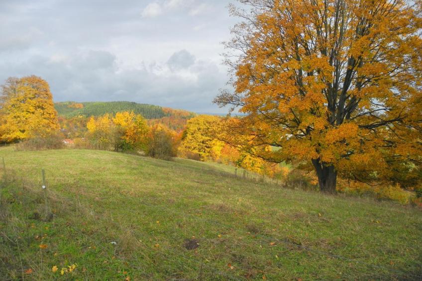 Kleine, gemütliche Ferienwohnung im Erholungsort - foto 10