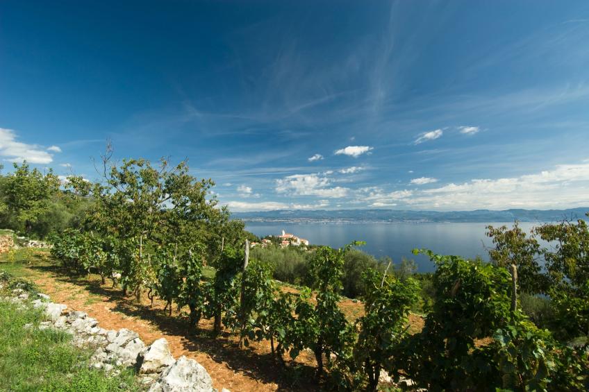 The Wave - Apt with Seaview and Garden - foto 24