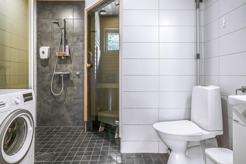 Himoksen keiju 1 - foto 9