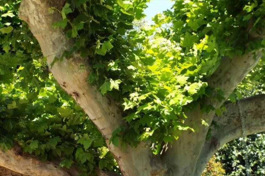 Leonie's Gîte Moulin de Tartay in Avignon - foto 39