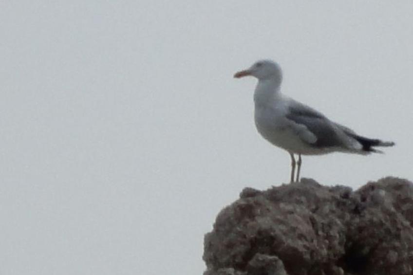 Appartement mit Blick auf das Wasser - foto 22