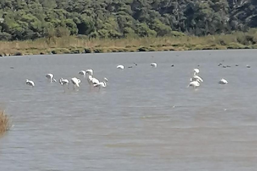 Maison Bleu - foto 10