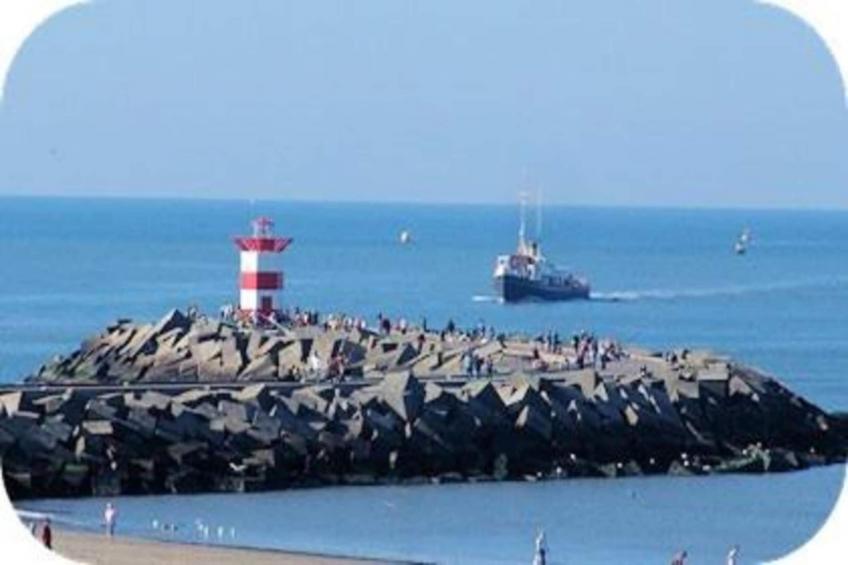 Harbour 54 - foto 30