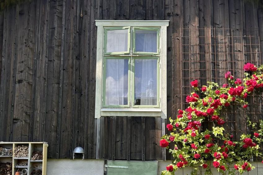 Nachhaltig und gefühlvoll in Seenähe - foto 27