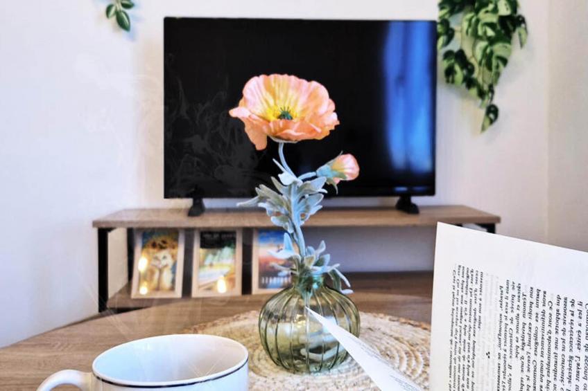 Studio à Toulouse - foto 31