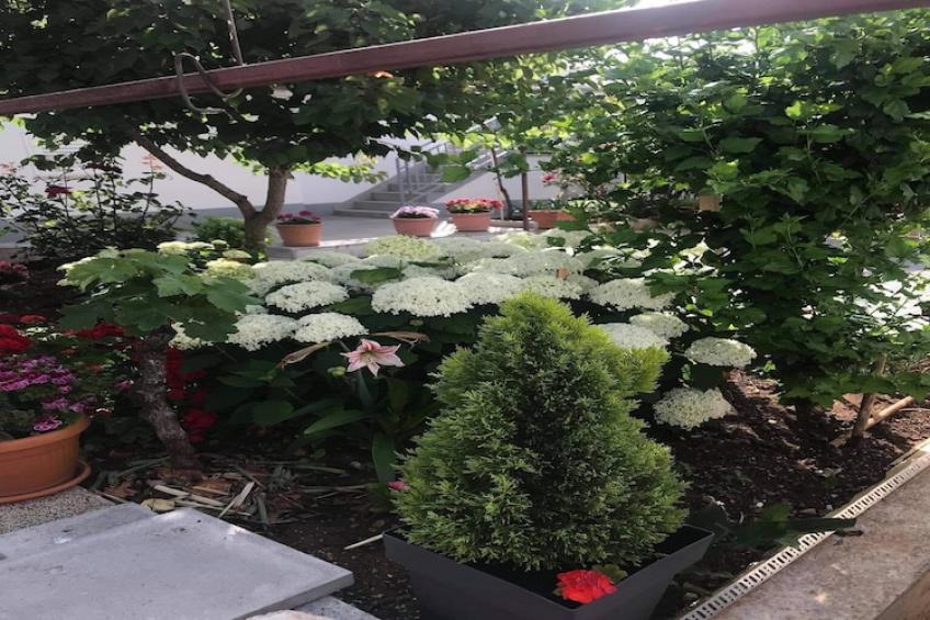 Apartments Villa Tanja - Two Bedroom Apartment with Terrace - foto 8