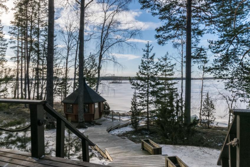 Puolen hehtaarin metsä - foto 5