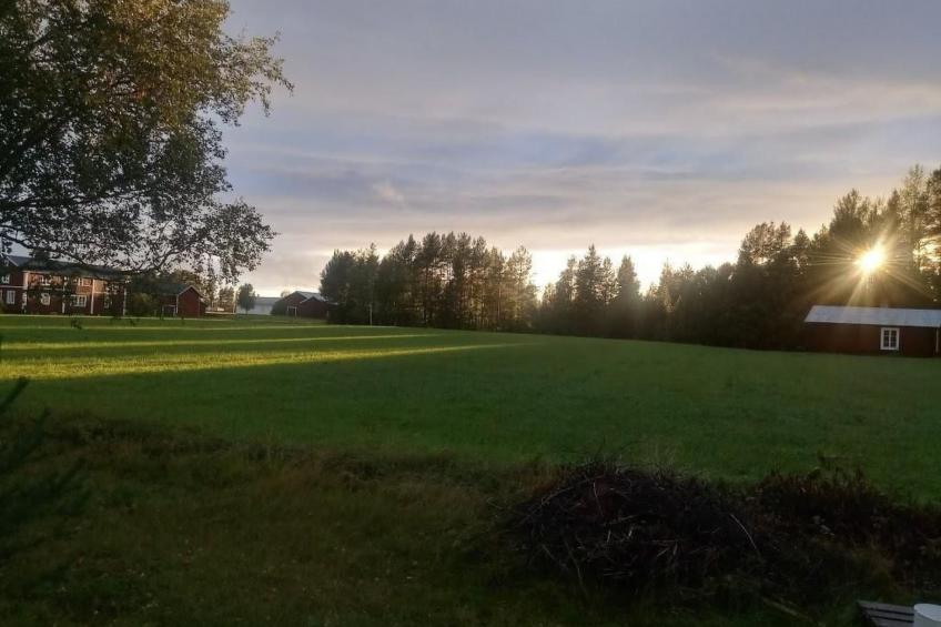 in Vindeln mit Garten, Terrasse und Grill - foto 15