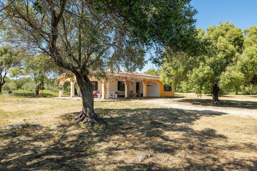 Villa Sae Grecu in Orosei - foto 33