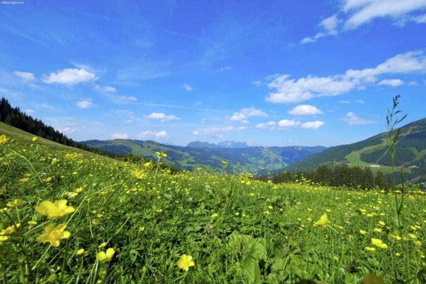 Mary Studio's Saalbach - foto 23
