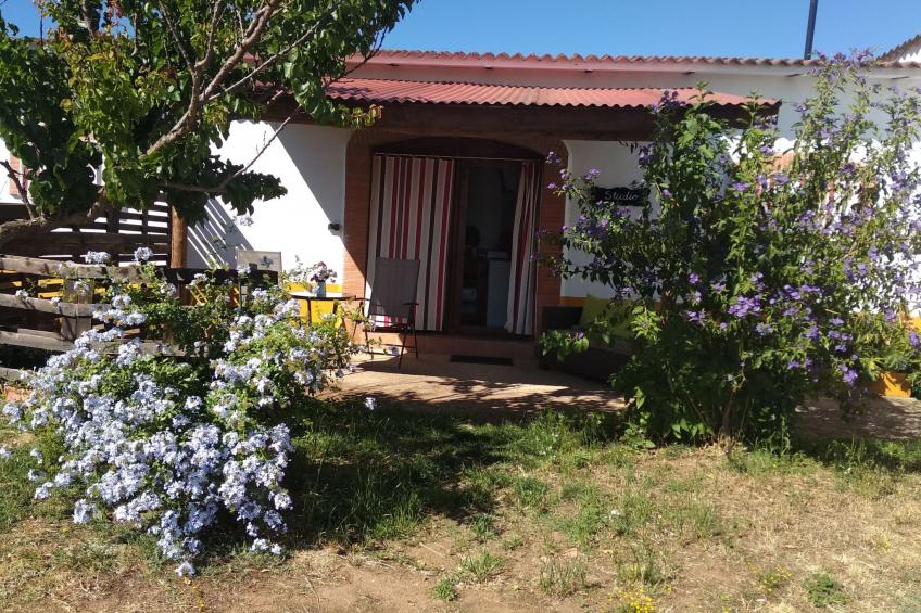 Finca El Chorrillo Studio - foto 6