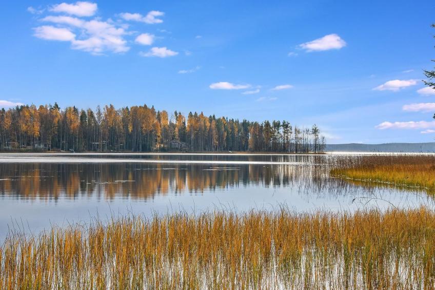 Mänty-linna - foto 29