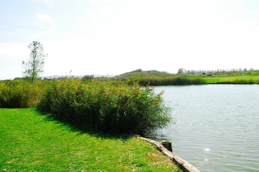 RESID.GOLF EST. 4 1-2 - foto 30