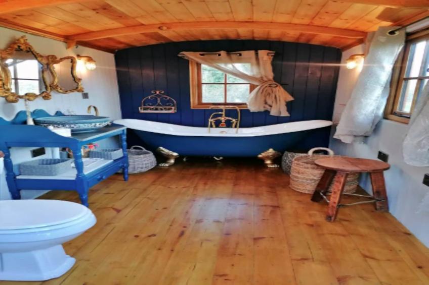 Shepherd's Hut at Hilltop Farm - foto 14