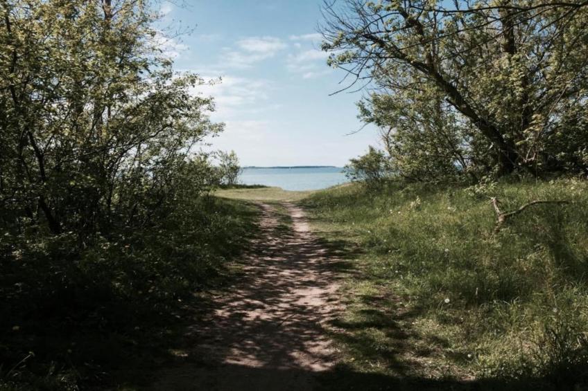 Ferienhaus Hohenkirchen - foto 34