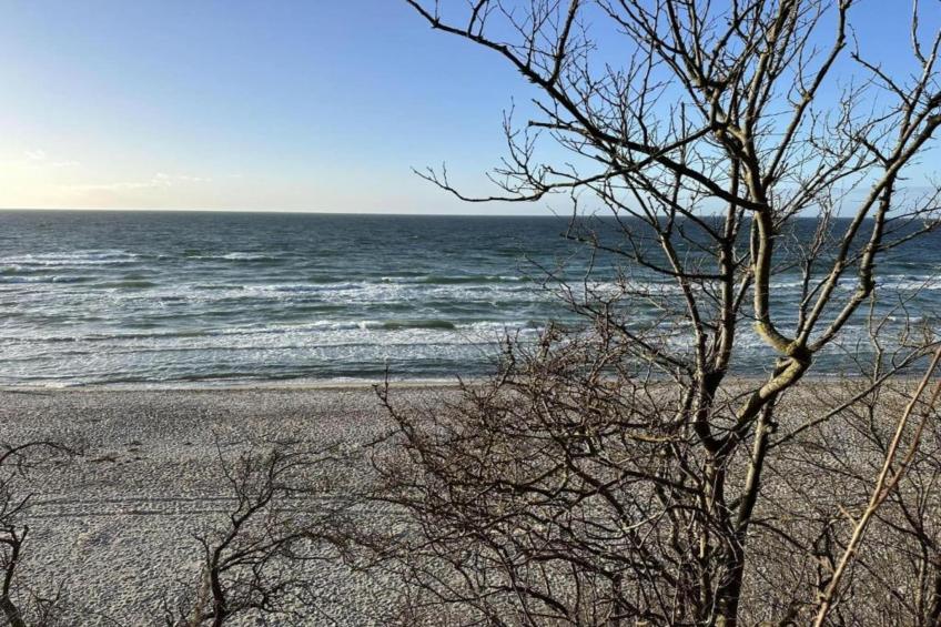 Altes Bauernhaus / Gartenblick - foto 38