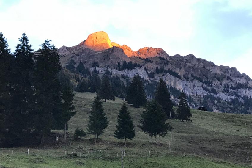 Hofuri, 1300m - foto 4