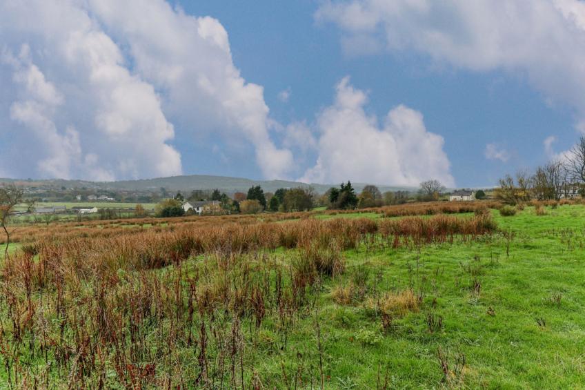 Middle Warble Stables - foto 3