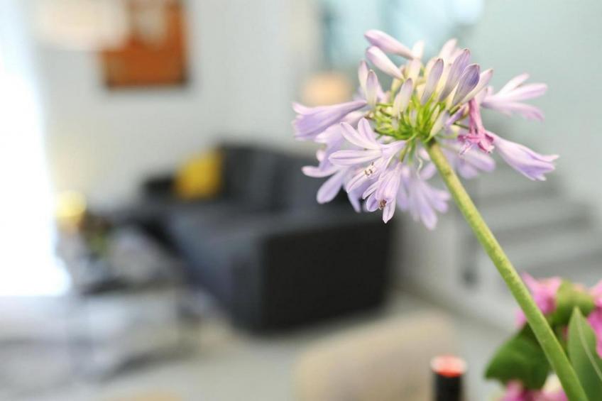 Villa Gaby with Heated Pool- Three Bedroom Villa with Swimming Pool - foto 22