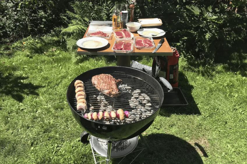 Küste, Ostende, Brügge, Plopsaland, Garten, Sauna. - foto 16