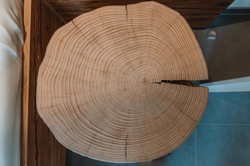 Das Georgen, Schmitten - foto 17