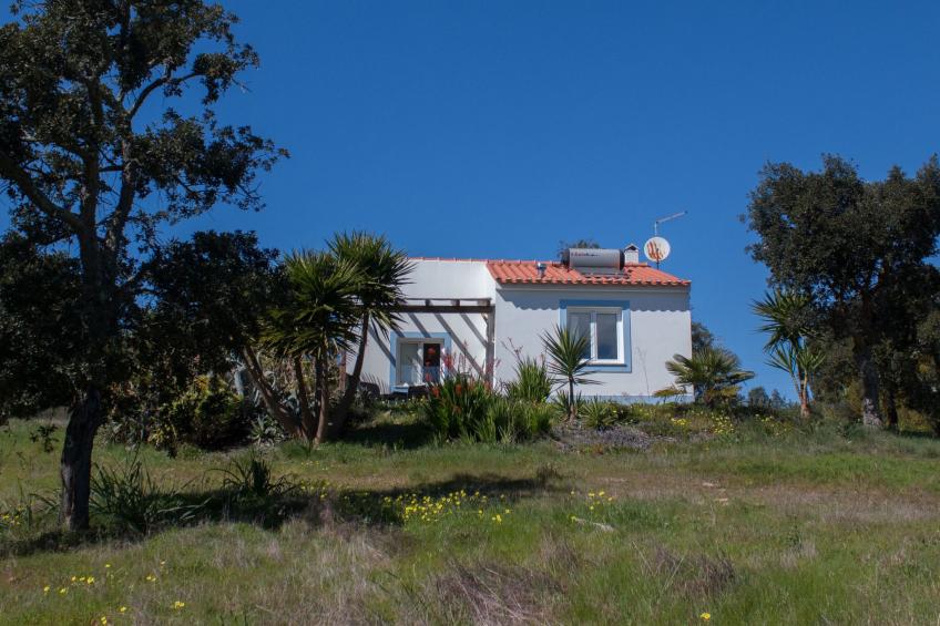 Monte Horizonte Casa Mimosa Öko und Natur - foto 3