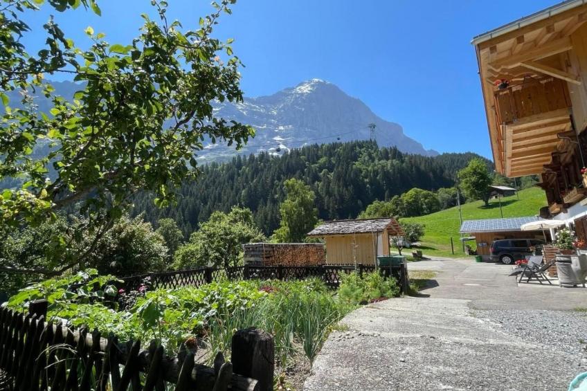 Chalet am Bühl - foto 4