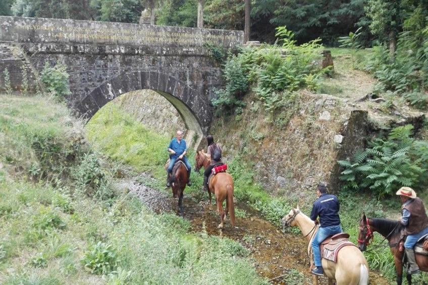 Piccola Margherita - foto 30