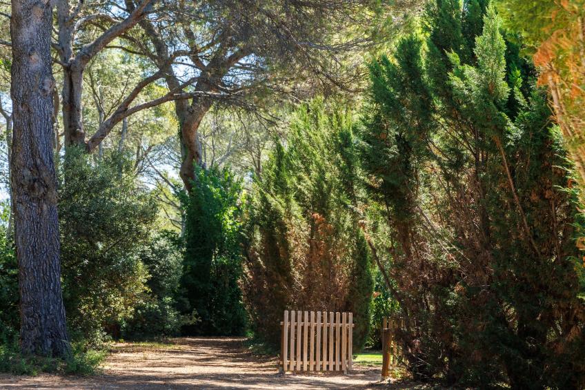 Les Demeures du Ventoux 	Maison 3 piÃ¨ces 6 personnes supÃ©rieur - foto 22
